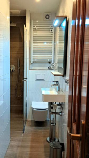 Studio apartman Olivera